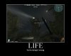 LIFE.jpg