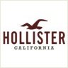 HollisterFitch